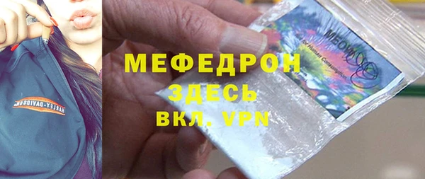 индика Богданович
