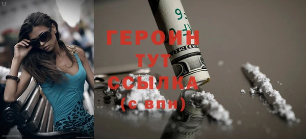 индика Богданович