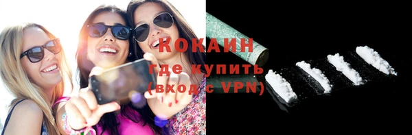 индика Богданович