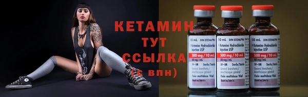 индика Богданович