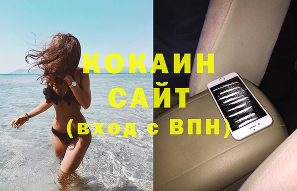 индика Богданович