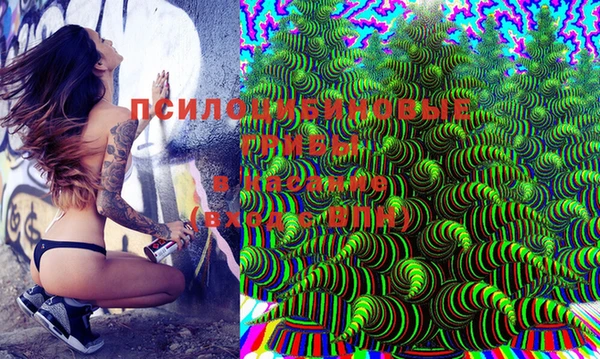 индика Богданович