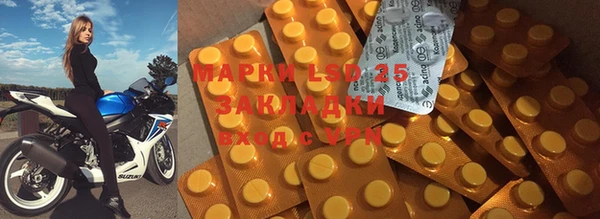 индика Богданович