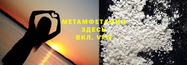 индика Богданович