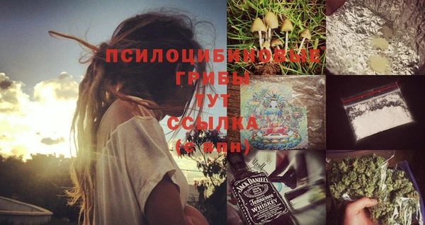 индика Богданович